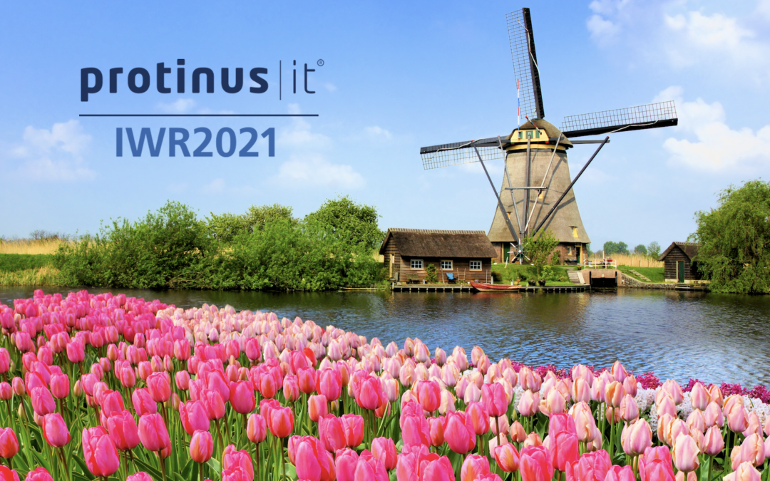 Protinus, IT is a winner of three National IWR2021 procurement