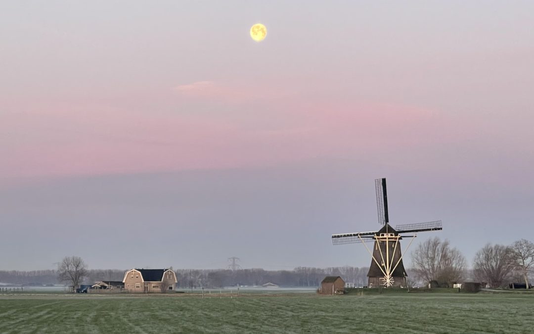 Gemeente Stichtse Vecht gunt Protinus IT opdracht ‘Levering Software’